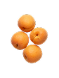 Apricots