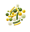 Summer Squash