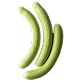 Armenian Cucumber