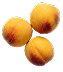 Yellow Peaches