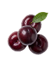 Spice Zee