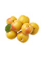 Yellow Plumcot