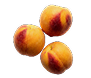 Yellow Nectarines